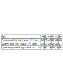 Одяг для немовлят Носи своє модель 5010-024-4-gnomi Фото