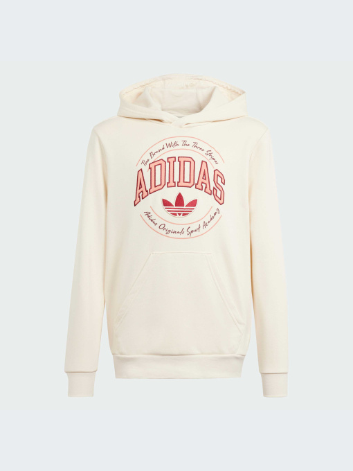 Худі та світшоти Adidas Graphics модель IN0623 Фото