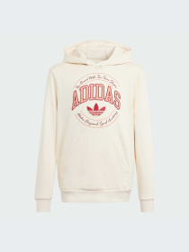 Худі та світшоти Adidas Graphics модель IN0623 Фото