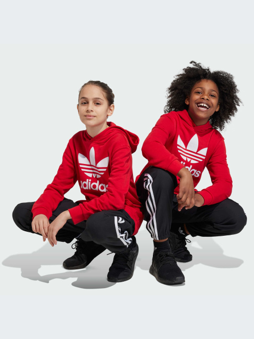 Брюки Adidas Adicolor модель IL1846 Фото