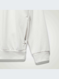 Худи и свитшоты Adidas модель IA3439 Фото