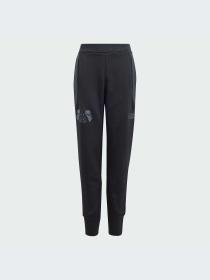 Брюки Adidas ZNE модель IN7288 Фото