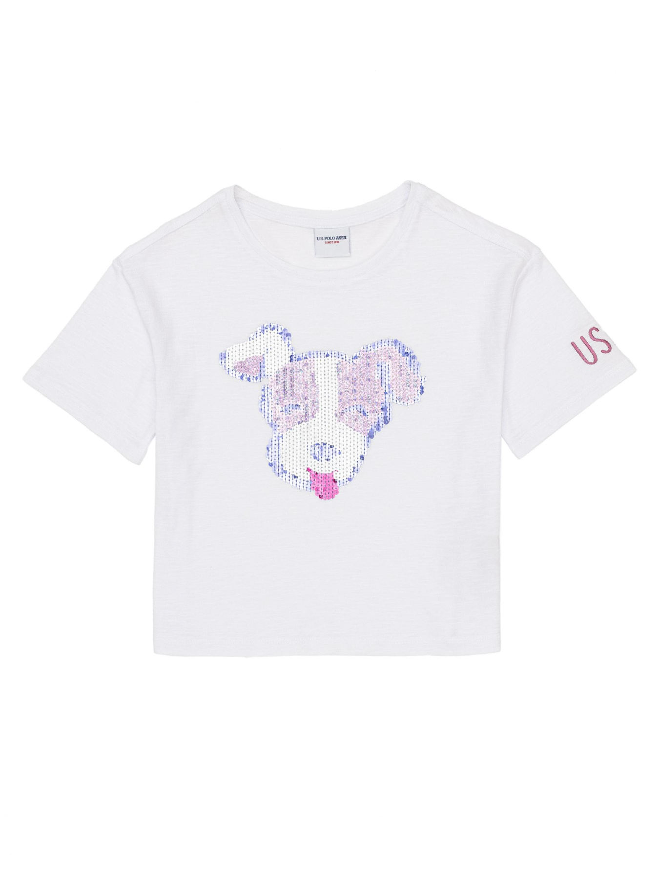 Футболки и поло US Polo модель G084SZ011.000.1368418.VR013 Фото