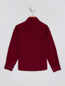Рубашки US Polo модель G083SZ004.000.851465.VR014 Фото