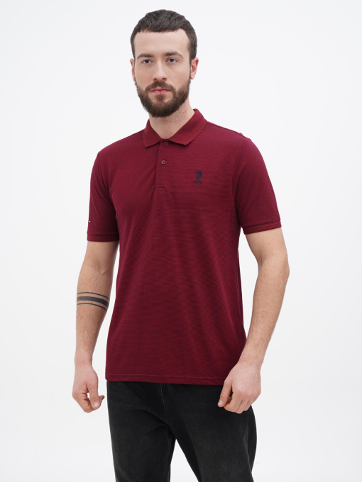 Футболки и поло US Polo модель USPA.1364501.VR014 Фото