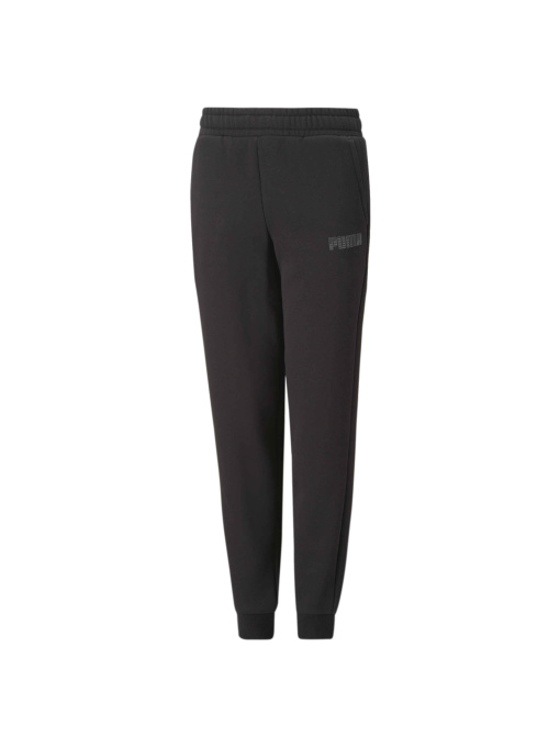 Штани PUMA Sweatpants модель 674492 Фото