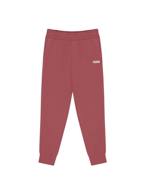 Штани PUMA Ess Sweat Pants Closed Fl W модель 847206 Фото