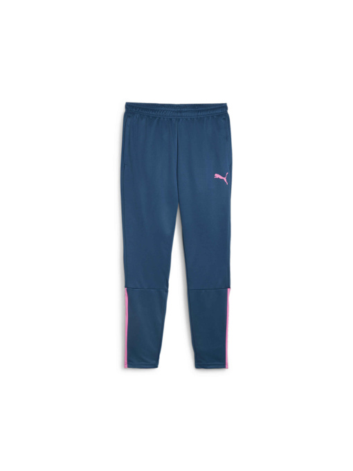 Брюки PUMA Teamliga Training Pants модель 657242 Фото
