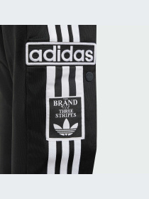 Штани Adidas Adicolor модель IM8431 Фото