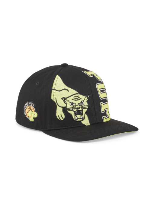 Шапки и кепки PUMA Hometown Heroeslowcurvebbcap модель 025276 Фото