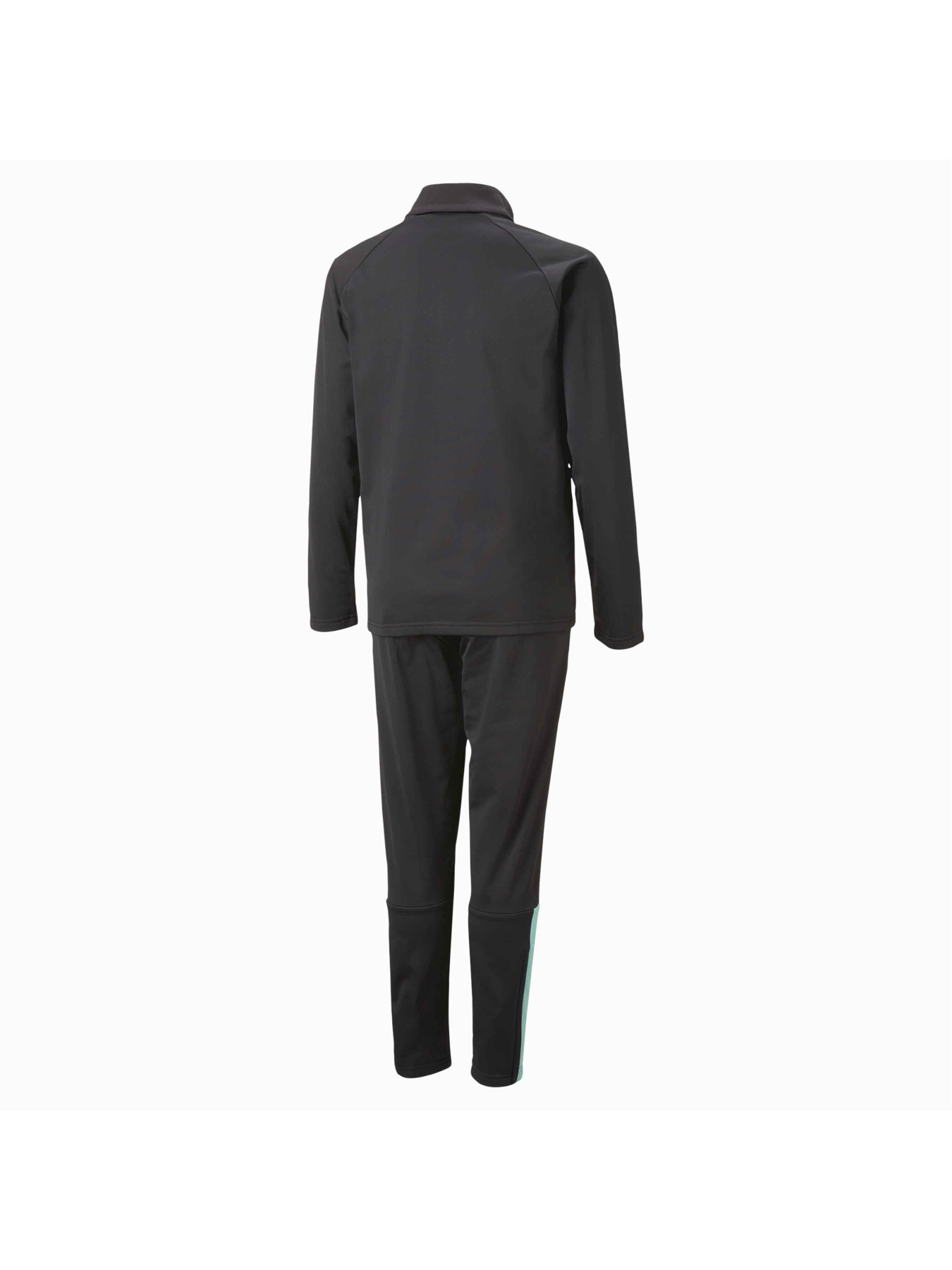 Костюмы PUMA Teamliga Tracksuit Jr модель 658526 Фото