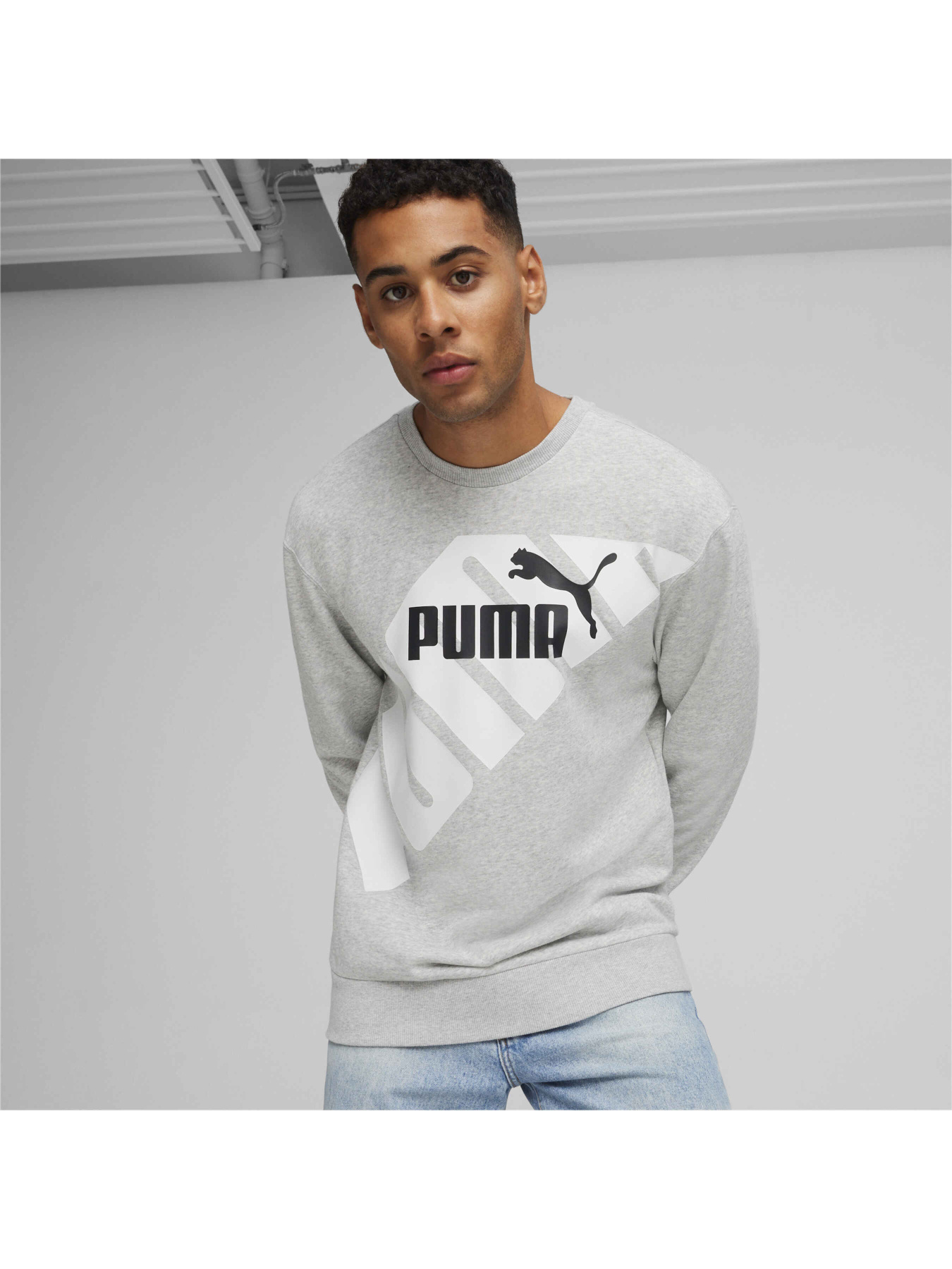Худи и свитшоты PUMA Power Graphic Crew модель 678961 Фото