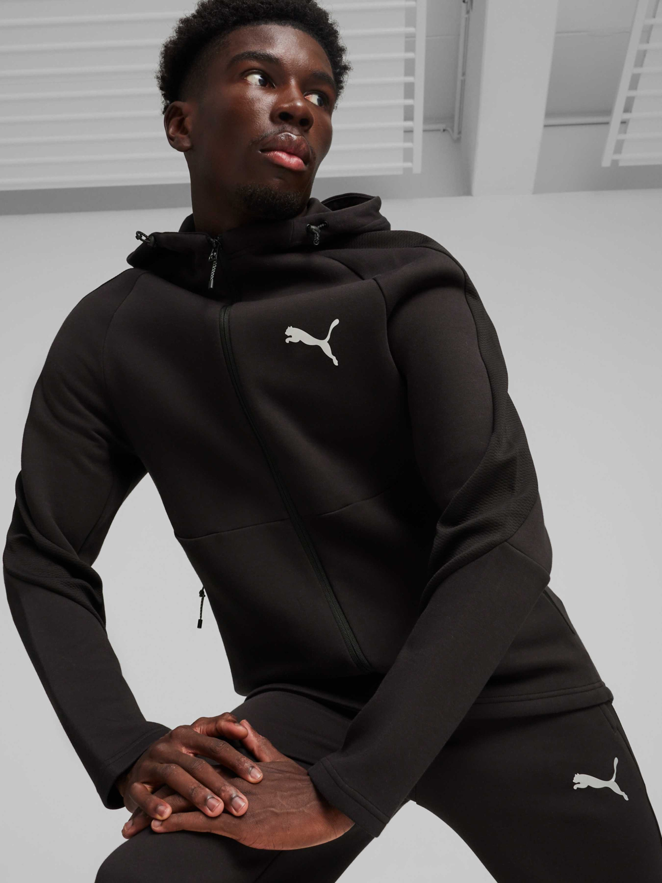Худі та світшоти PUMA Evostripe Full-zip Hoodie модель 678995 Худі та світшоти PUMA Evostripe Full-zip Hoodie модель 678995 Фото