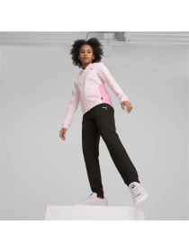 Костюмы PUMA Hooded Sweat Suit модель 673586 Фото