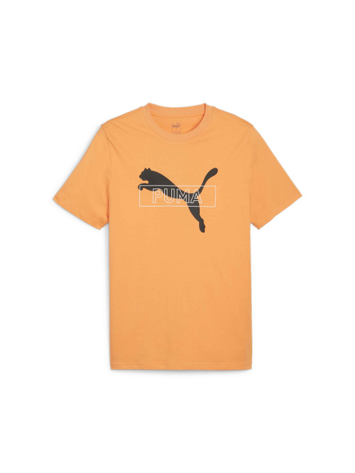 Футболки и поло PUMA Desert Road Graphic Tee модель 679705 Фото