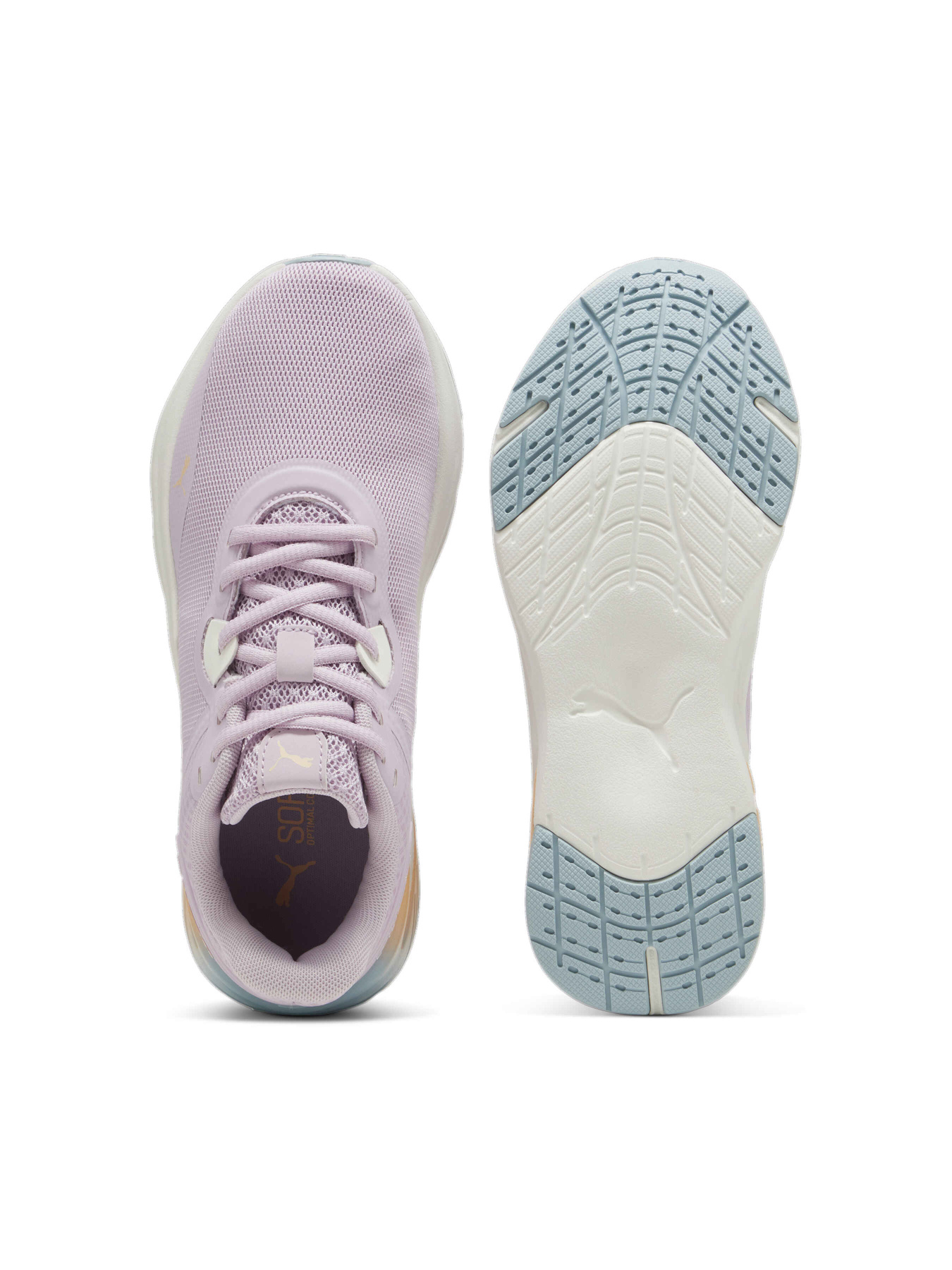 Кросівки PUMA Disperse Xt 3 Summer Daze модель 309736 Кросівки PUMA Disperse Xt 3 Summer Daze модель 309736 Фото