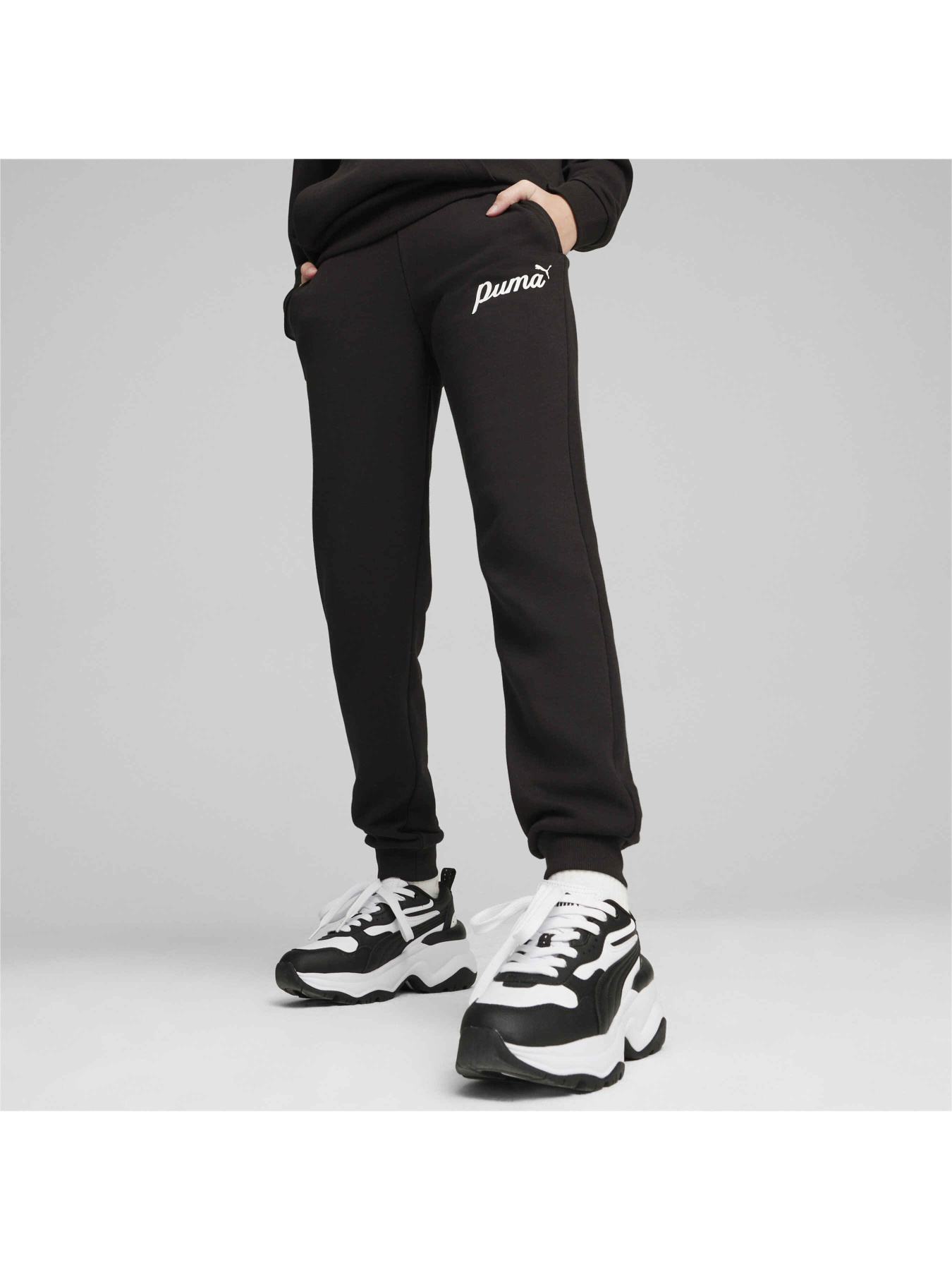 Штани PUMA Ess+ Script Pants Tr модель 679407 Фото