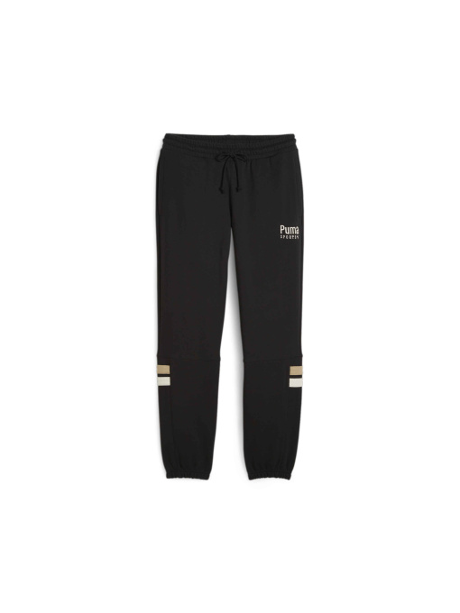 Брюки PUMA Team Sweatpants модель 624344 Фото