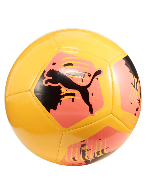 М'ячі PUMA Big Cat Ball модель 084214 Фото
