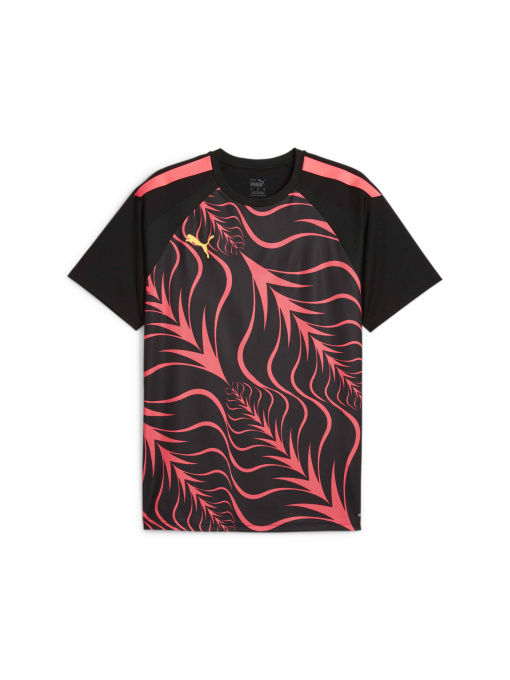 Футболки и поло PUMA Individualliga Graphicjersey модель 658984 Фото