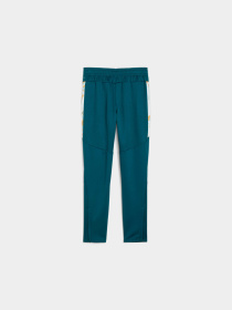 Штани PUMA Njr Creativity Trg Pants Jr модель 658957 Фото