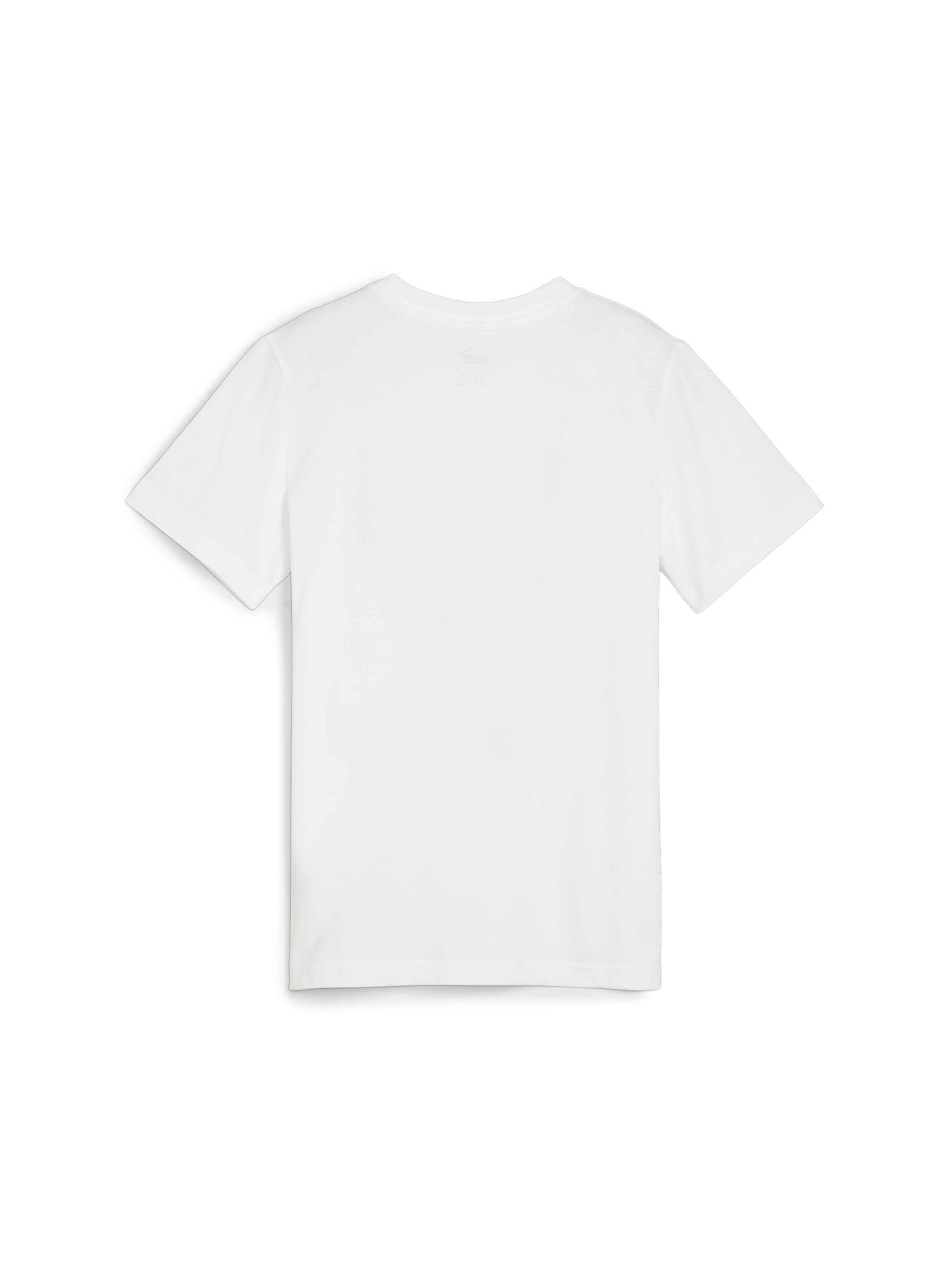 Футболки і поло PUMA Basketball Blueprint Tee модель 679282 Фото