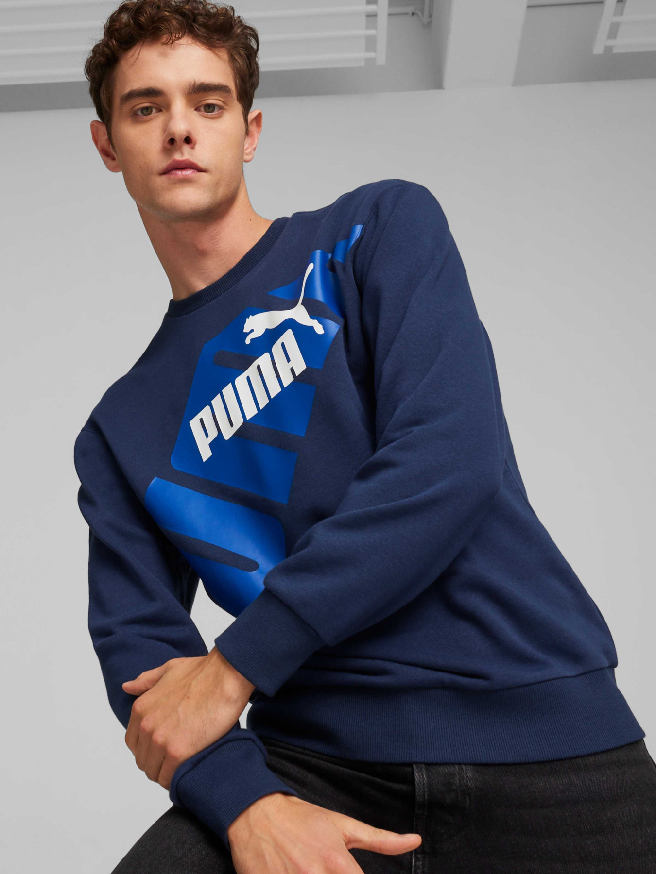 Худи и свитшоты PUMA Power Graphic Crew модель 678961 Фото