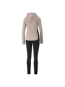 Костюмы PUMA Classic Hooded Tracksuit модель 670022 Фото