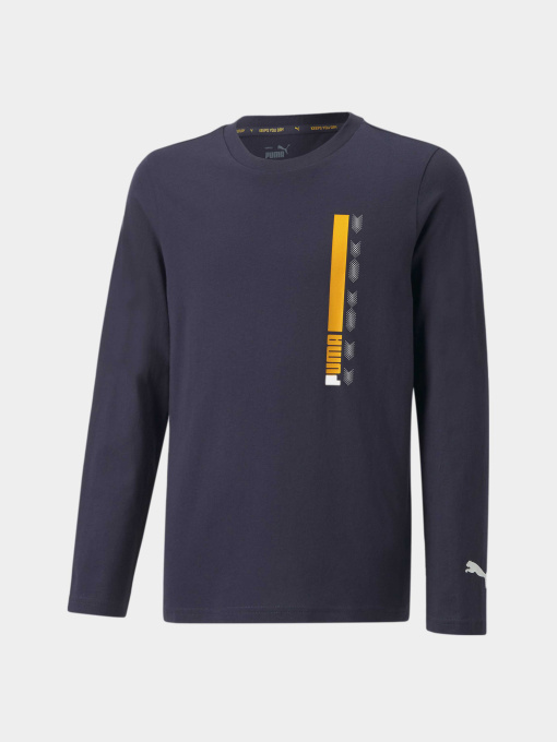 Худи и свитшоты PUMA Active Sports Longsleeve модель 670073 Фото