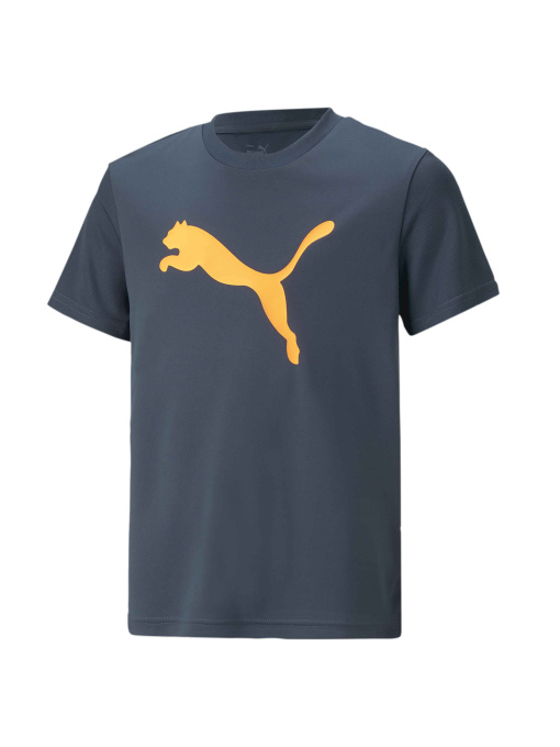 Футболки і поло PUMA Active Sports Poly Cat Tee модель 673210 Фото