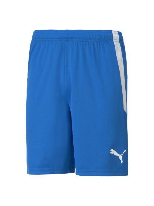 Шорты PUMA Teamliga Shorts модель 704924 Фото