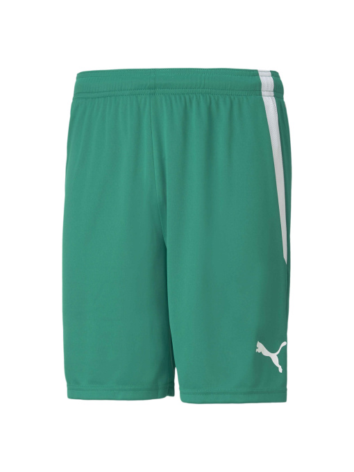 Шорты PUMA Teamliga Shorts модель 704924 Фото