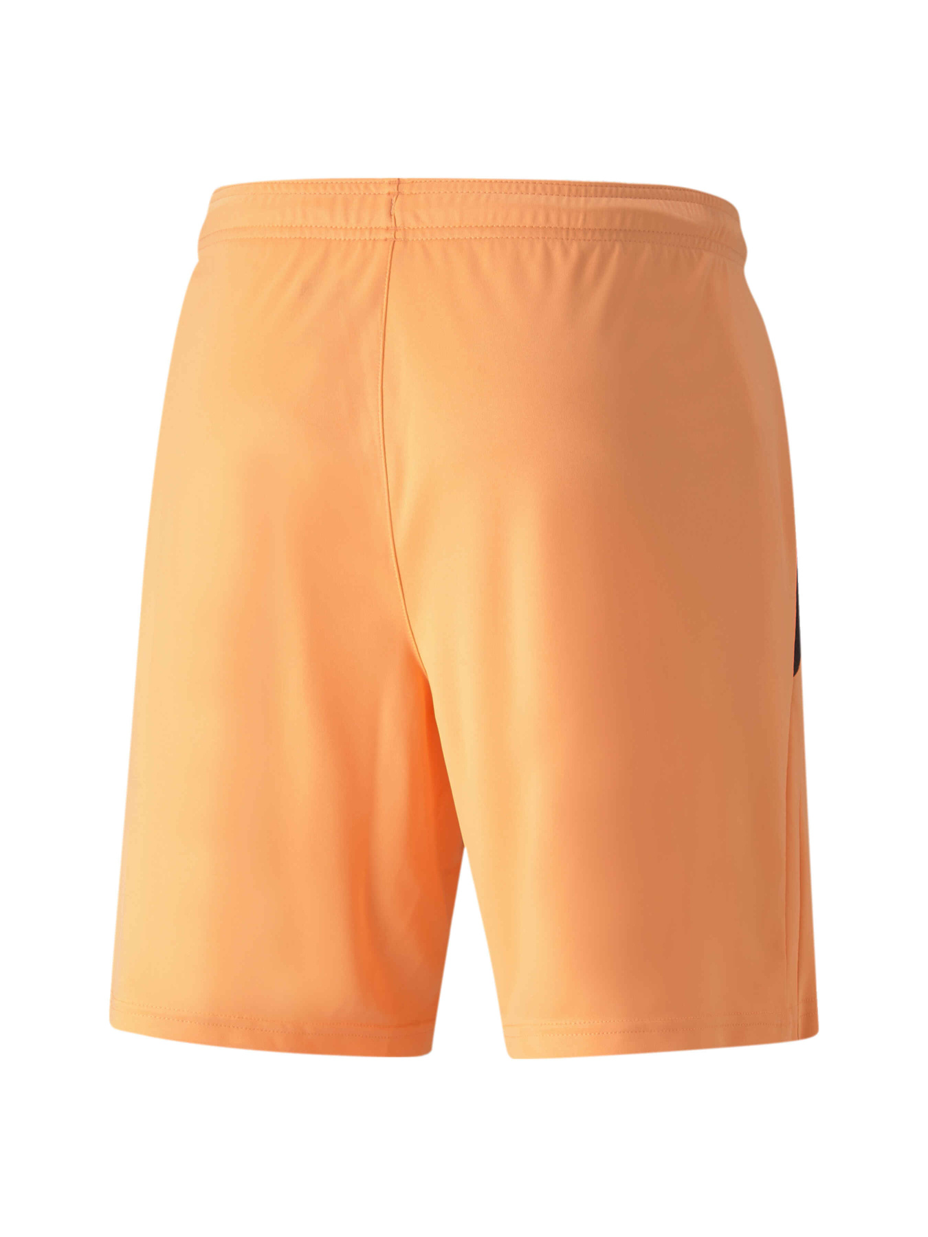 Шорты PUMA Teamliga Shorts модель 704924 Фото