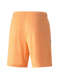 Шорты PUMA Teamliga Shorts модель 704924 Фото
