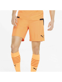 Шорты PUMA Teamliga Shorts модель 704924 Фото