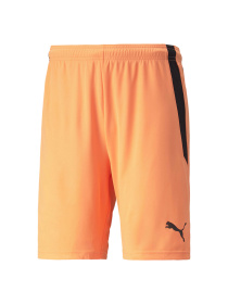 Шорты PUMA Teamliga Shorts модель 704924 Фото
