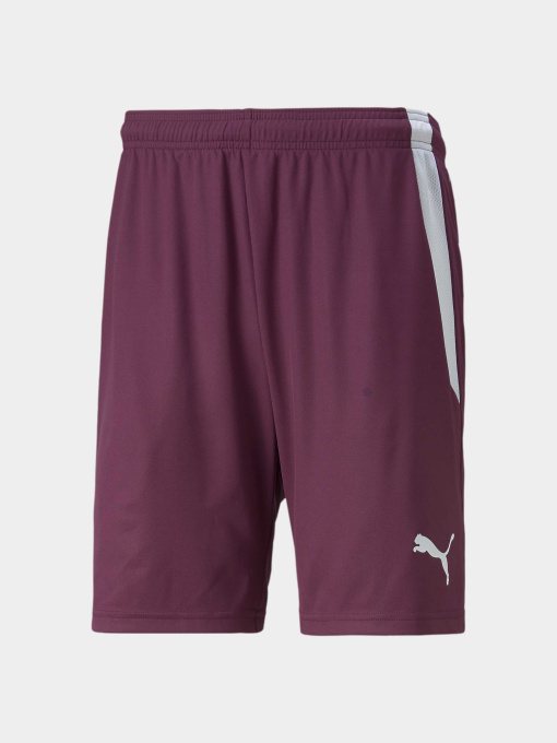 Шорты PUMA Teamliga Shorts модель 704924 Фото