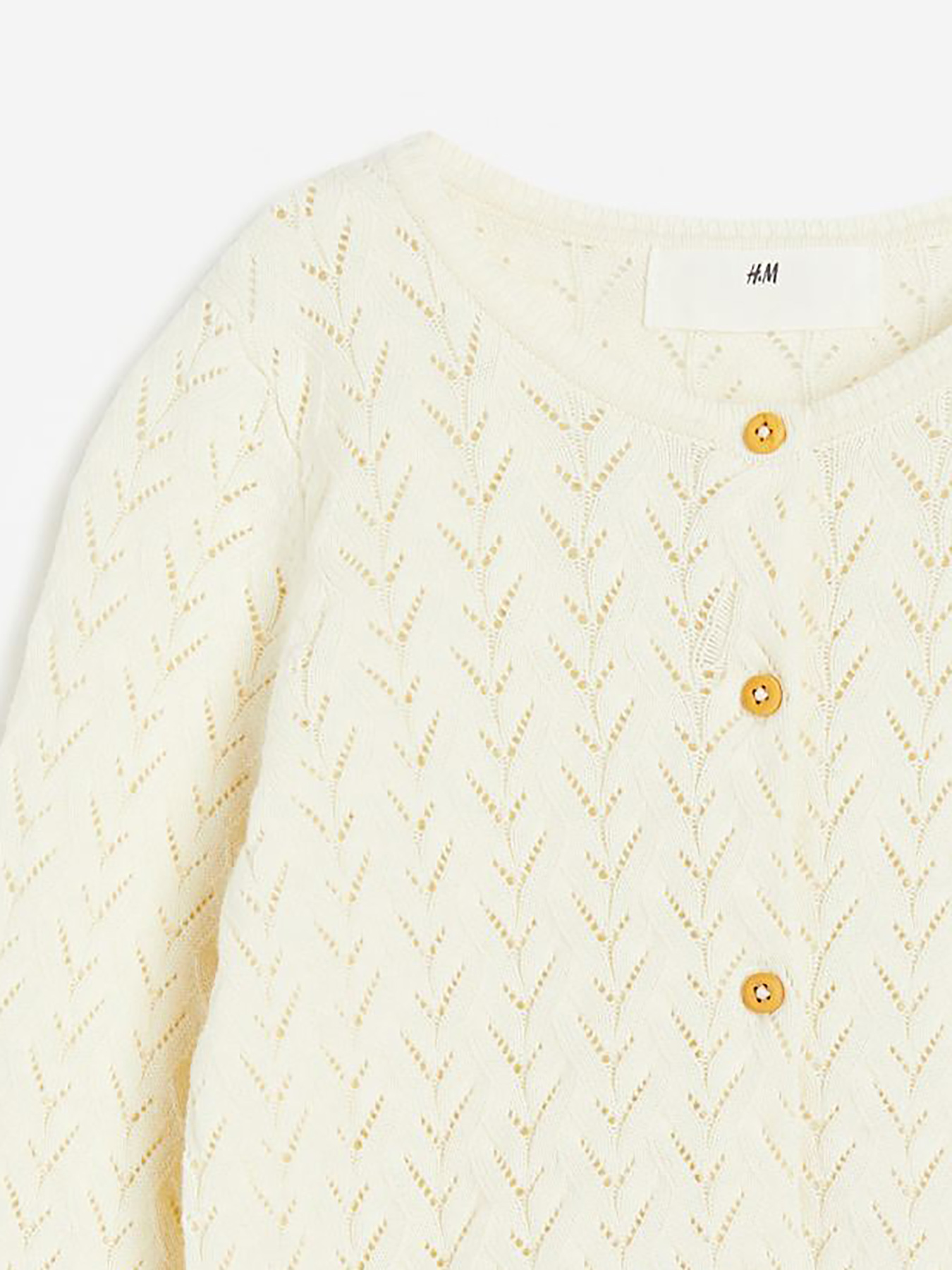 Свитры и кардиганы H&M модель 72070 Фото