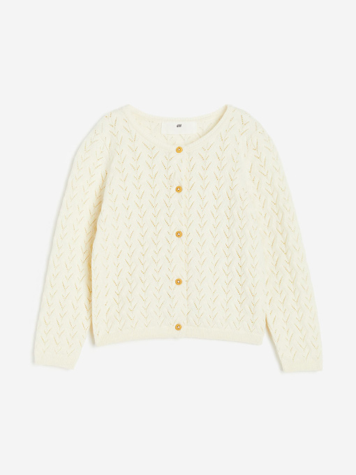 Свитры и кардиганы H&M модель 72070 Фото