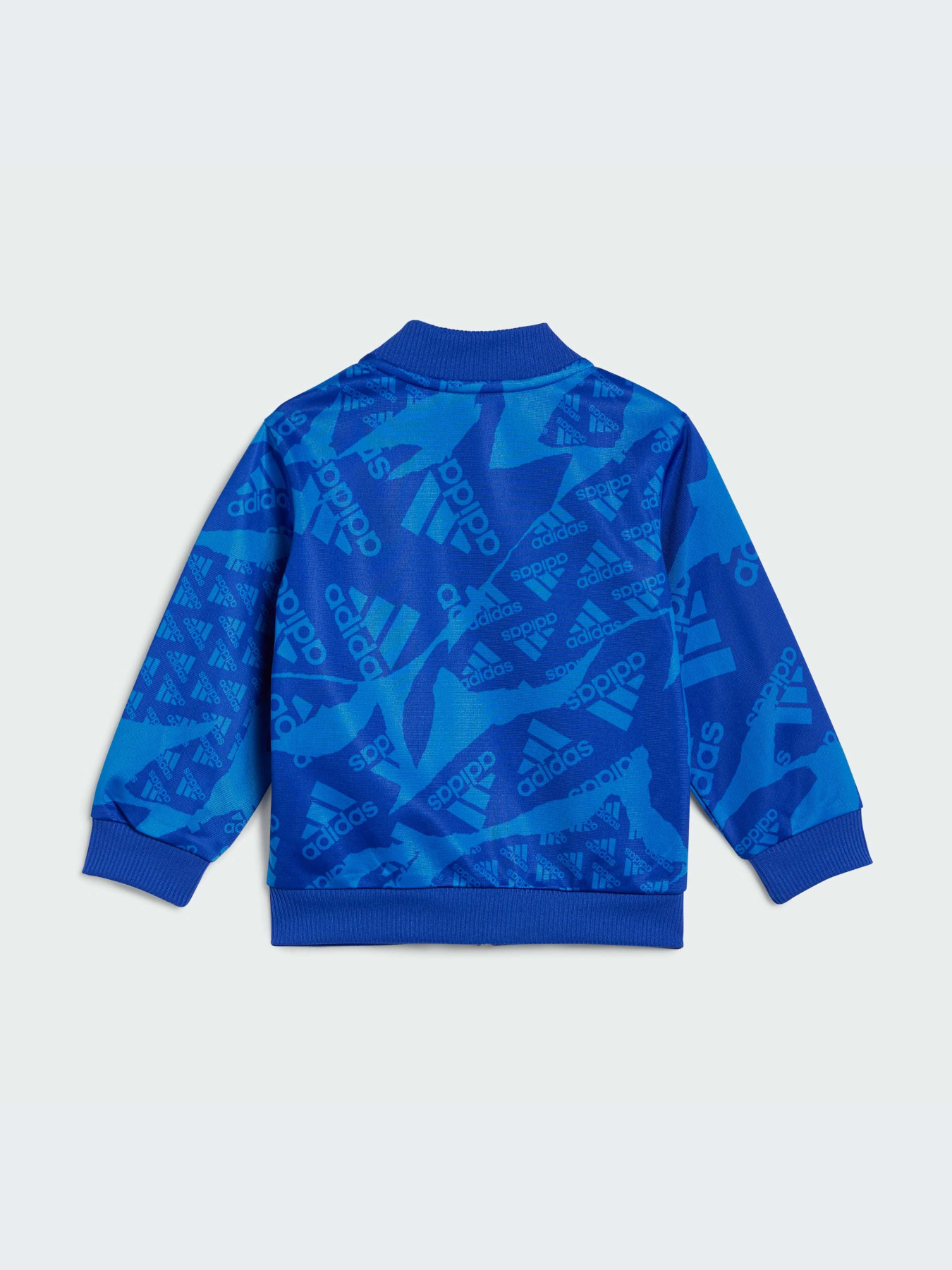 Костюмы Adidas модель IQ4079 Костюмы Adidas модель IQ4079 Фото