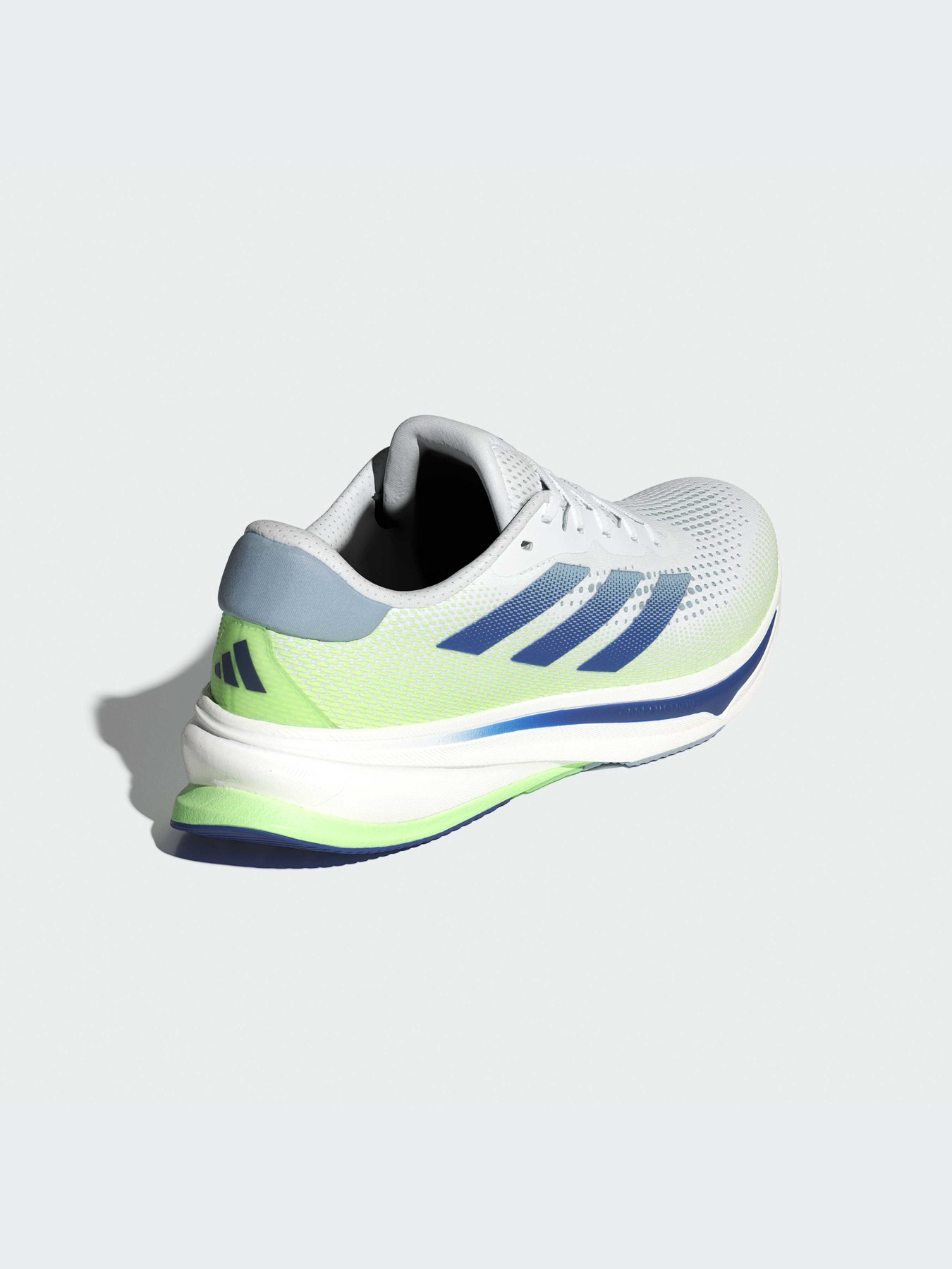 Кросівки Adidas Supernova модель IF3015 Кросівки Adidas Supernova модель IF3015 Фото