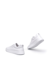 Кеди Alex Bell модель 1171433 Фото
