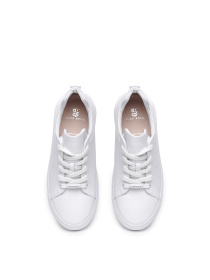 Кеди Alex Bell модель 1171433 Фото