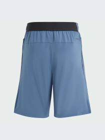 Шорты Adidas модель IR7555 Фото
