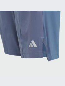 Шорты Adidas модель IR7555 Фото