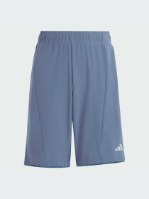 Шорты Adidas модель IR7555 Фото