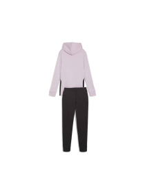 Костюмы PUMA Classic Hooded Tracksuit модель 673699 Фото