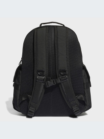 Рюкзаки Adidas Adicolor модель HK5054 Фото