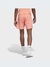 Шорты Adidas модель IC7638 Фото