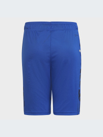 Шорты Adidas модель HM9202 Фото